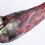 Prototipo de Dr. Muerte