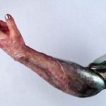 Prototipo de Dr. Muerte