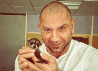 Dave Bautista con un mapache