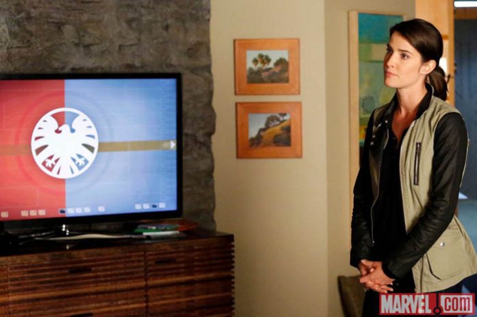 agents-of-shield-1x20-5 Agents of S.H.I.E.L.D. 1x20 - Nothing Personal