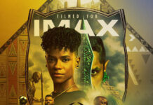 Un productor de Black Panther: Wakanda Forever explica por qué hay tan pocos personajes masculinos Póster de Black Panther: Wakanda Forever