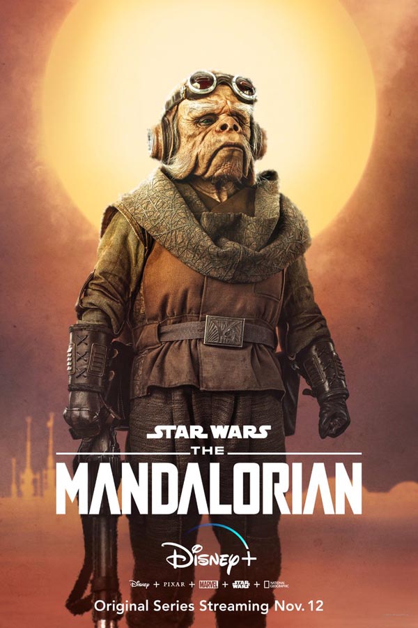 Star Wars The Mandalorian