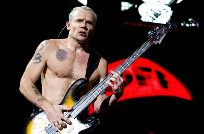 Flea de los Red Hot Chili Peppers