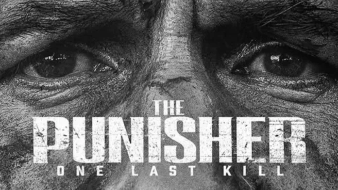 The Punisher: One Last Kill